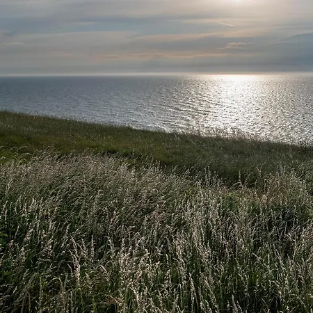 La Précieuse En Front De